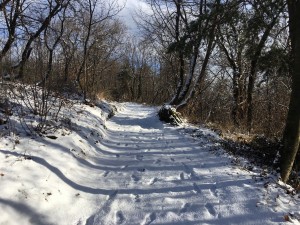 La prima neve del 2017